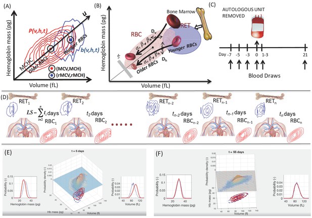 Figures And Data In Single-cell Modeling Of Routine Clinical Blood ...