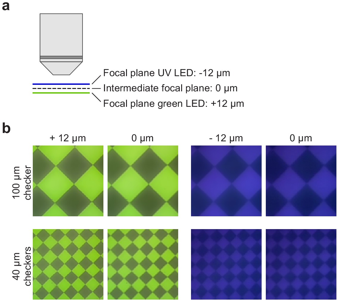 Figures and data in An arbitrary-spectrum spatial visual ...