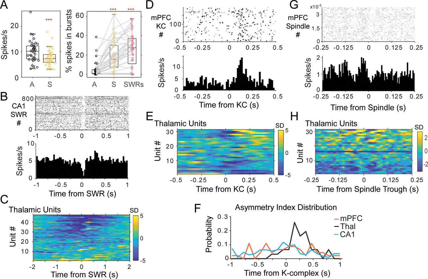 mPFC spindle cycles organize sparse thalamic activation and recently ...