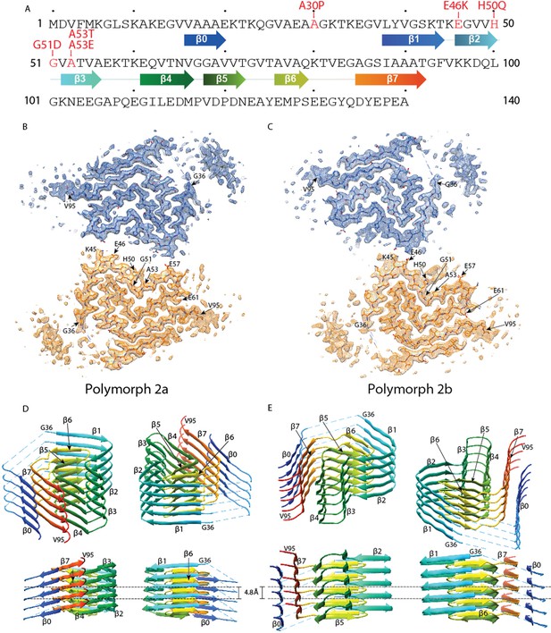 Figures And Data In Two New Polymorphic Structures Of Human Full Length