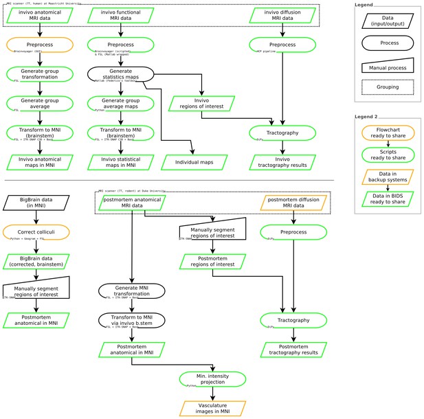 Figures and data in Mapping the human subcortical auditory system using ...