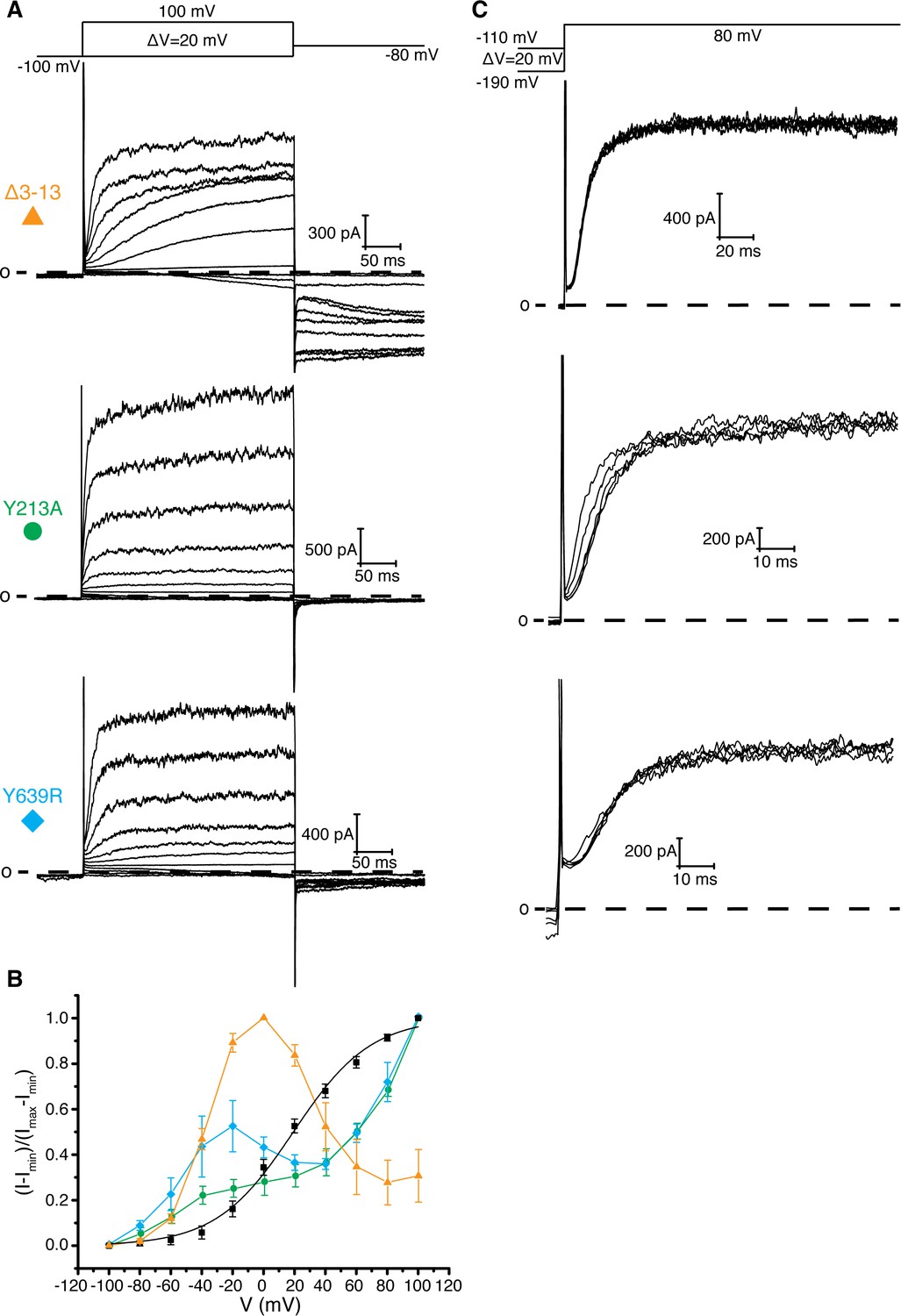 Regulation of Eag1 gating by its intracellular domains - eLife