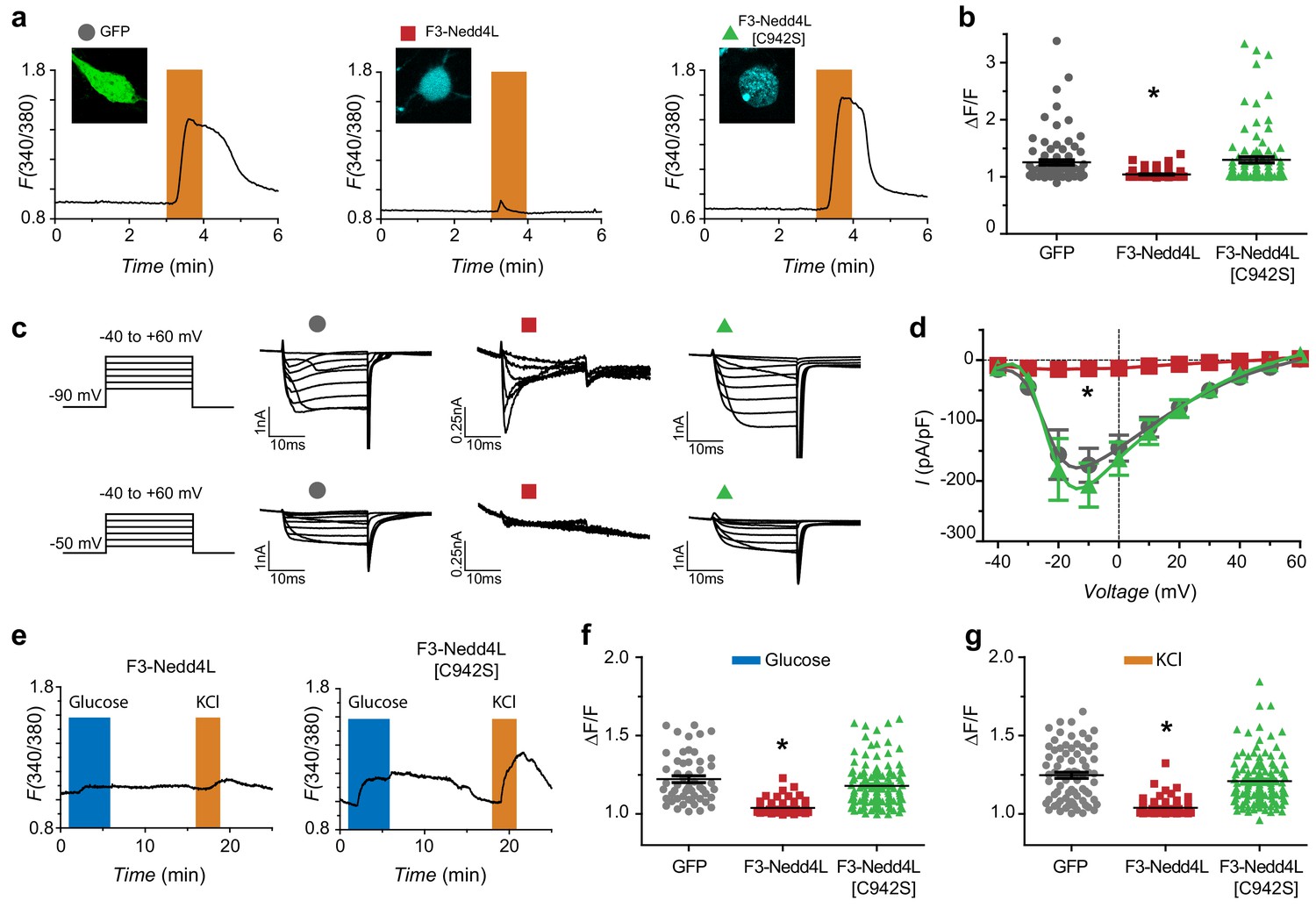 A Potent Voltage Gated Calcium Channel Inhibitor Engineered From A Nanobody Targeted To Auxiliary Cavb Subunits Elife