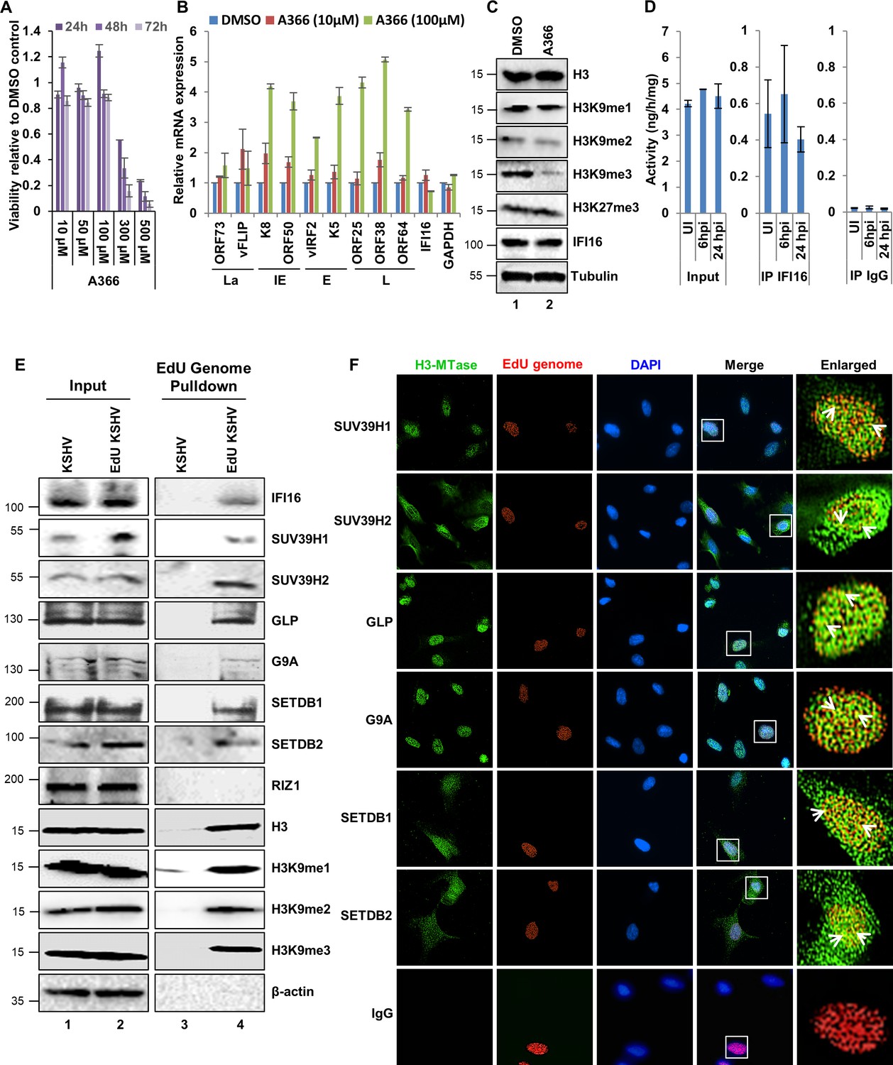 Figures And Data In Ifi A Nuclear Innate Immune Dna Sensor Mediates