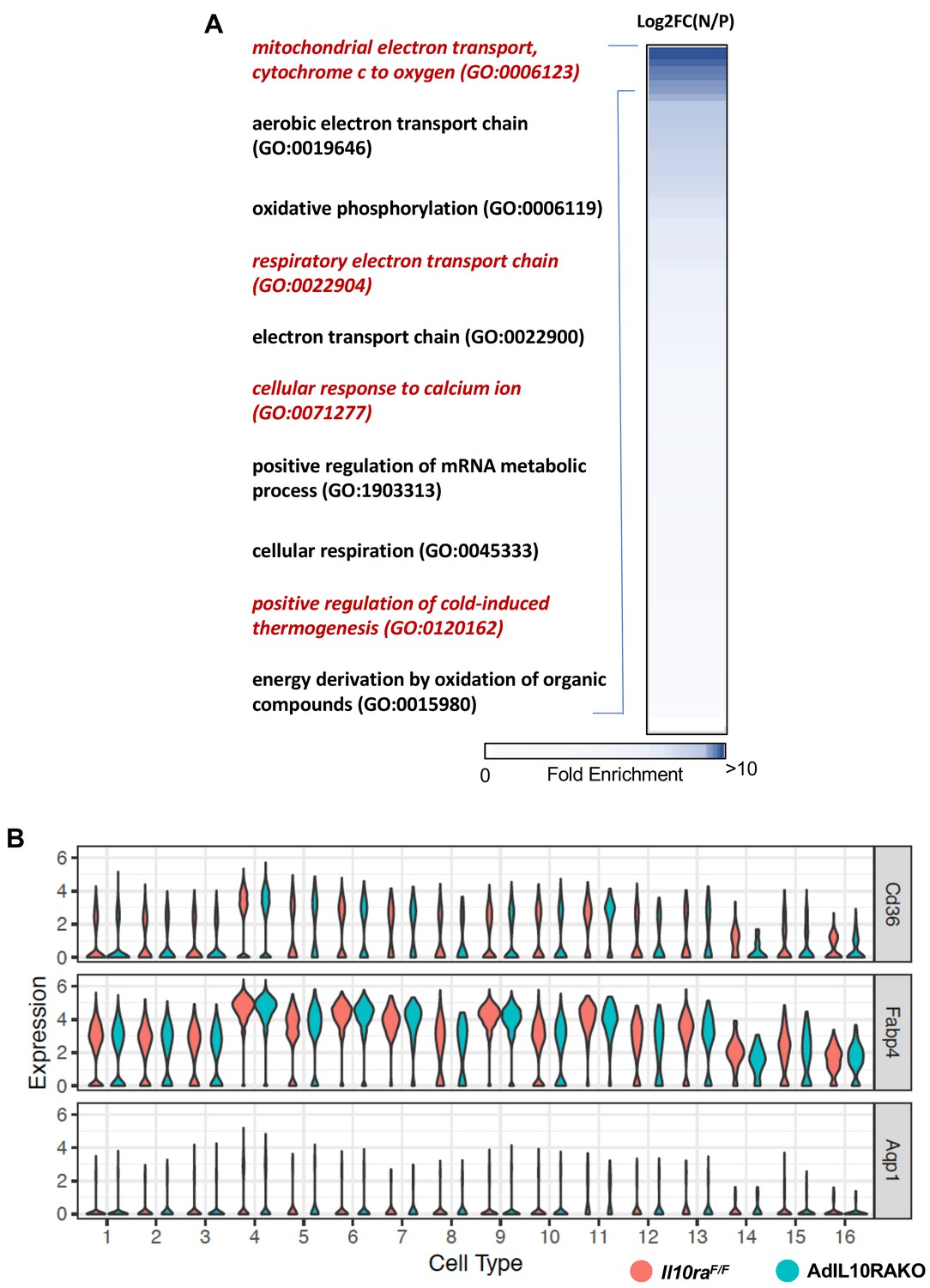 Figures And Data In Single Cell Analysis Reveals Immune Cell Adipocyte