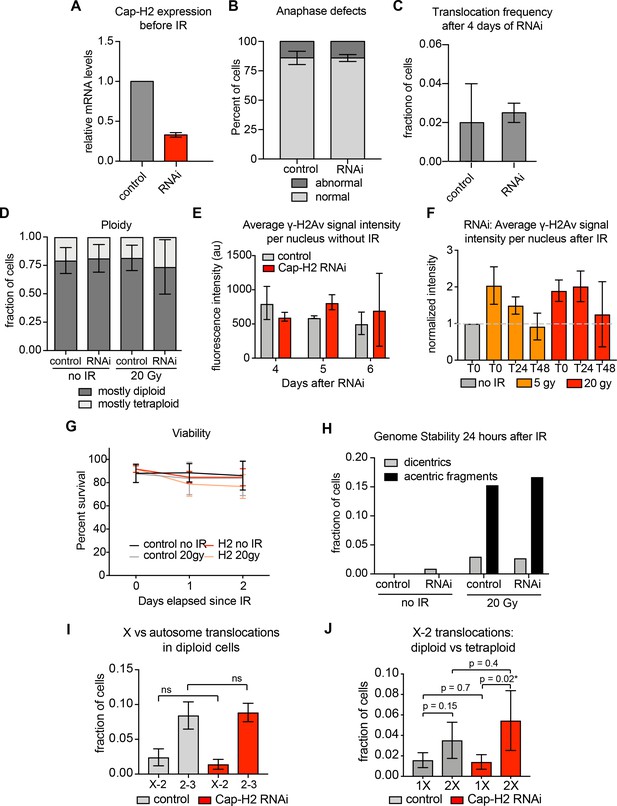 Figures and data in Chromosome territory formation attenuates the ...