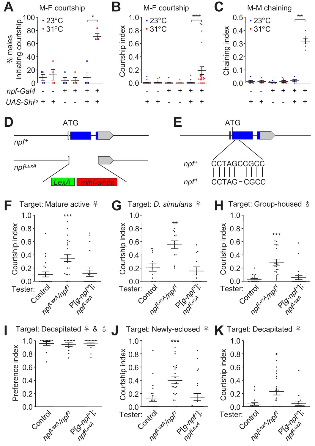 Figures and data in Neuropeptide F regulates courtship in