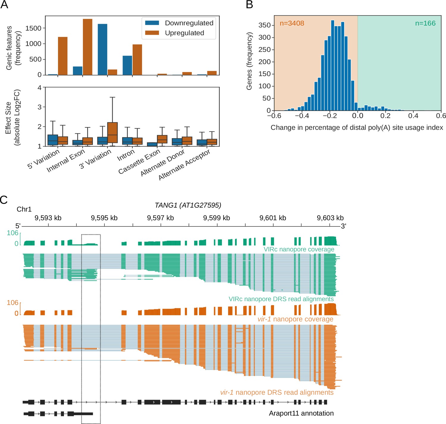 Nanopore Direct Rna Sequencing Maps The Complexity Of Arabidopsis Mrna Processing And M6a Modification Elife