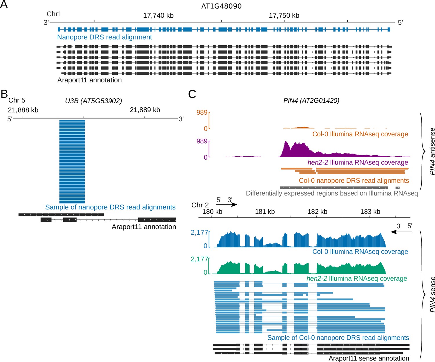 Nanopore direct RNA sequencing maps the complexity of Arabidopsis mRNA ...