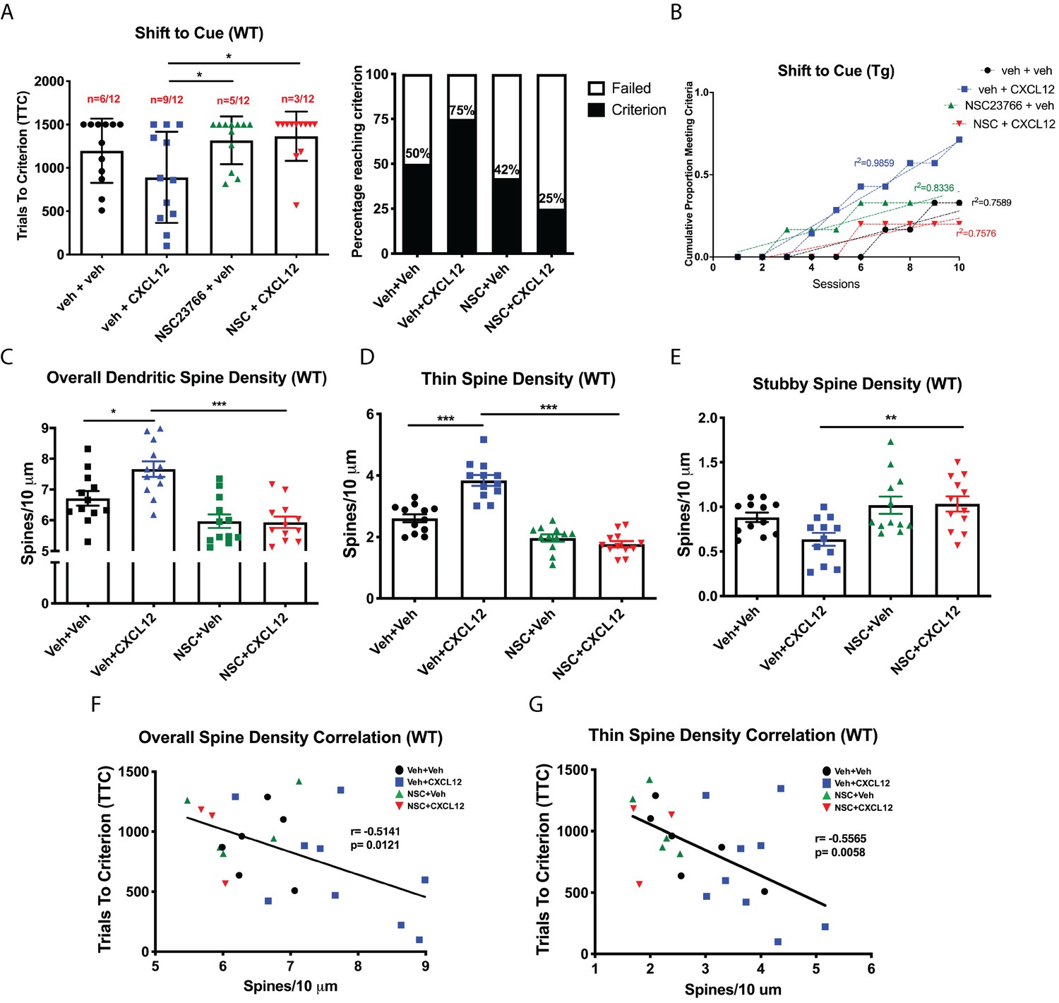 CXCL12-induced rescue of cortical dendritic spines and CXCL12-induced rescue of cortical dendritic spines and