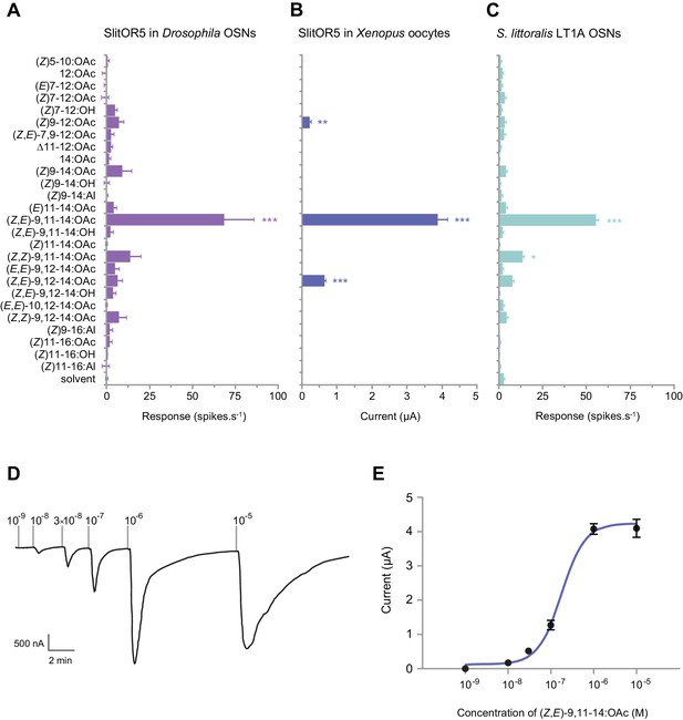 A Novel Lineage Of Candidate Pheromone Receptors For Munication In Moths Elife 5366