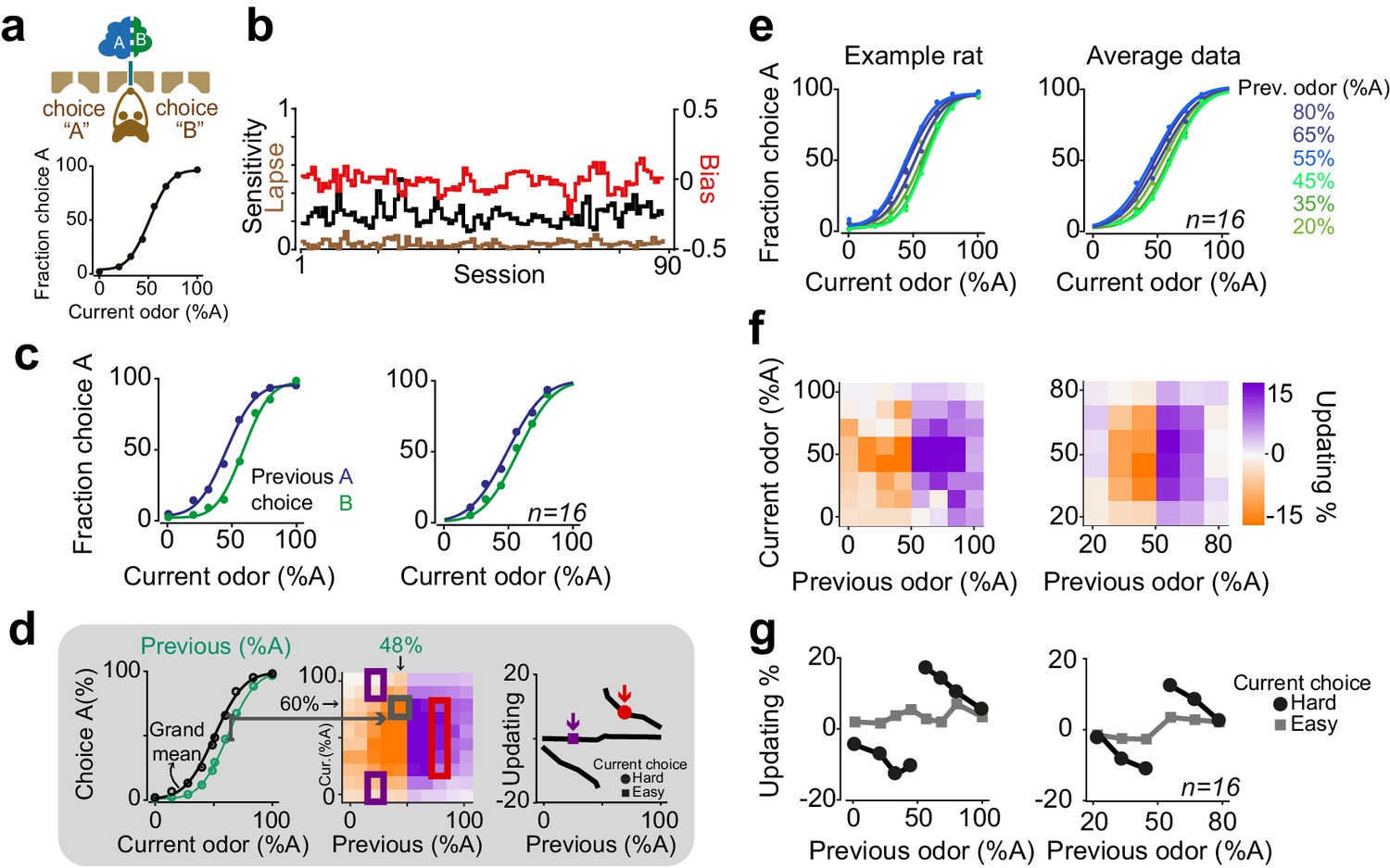 Dynamics of Visual Perceptual Decision-Making in Freely Behaving