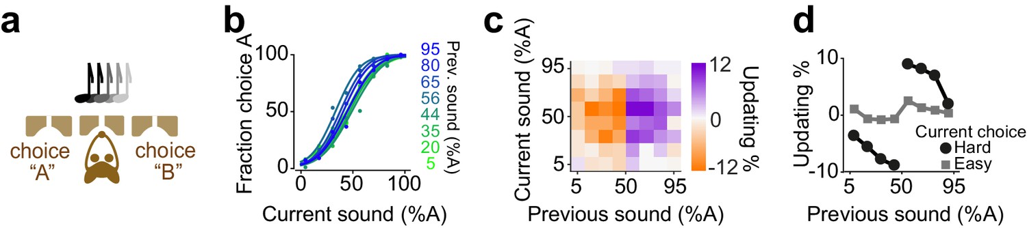 Figures And Data In Reinforcement Biases Subsequent Perceptual ...