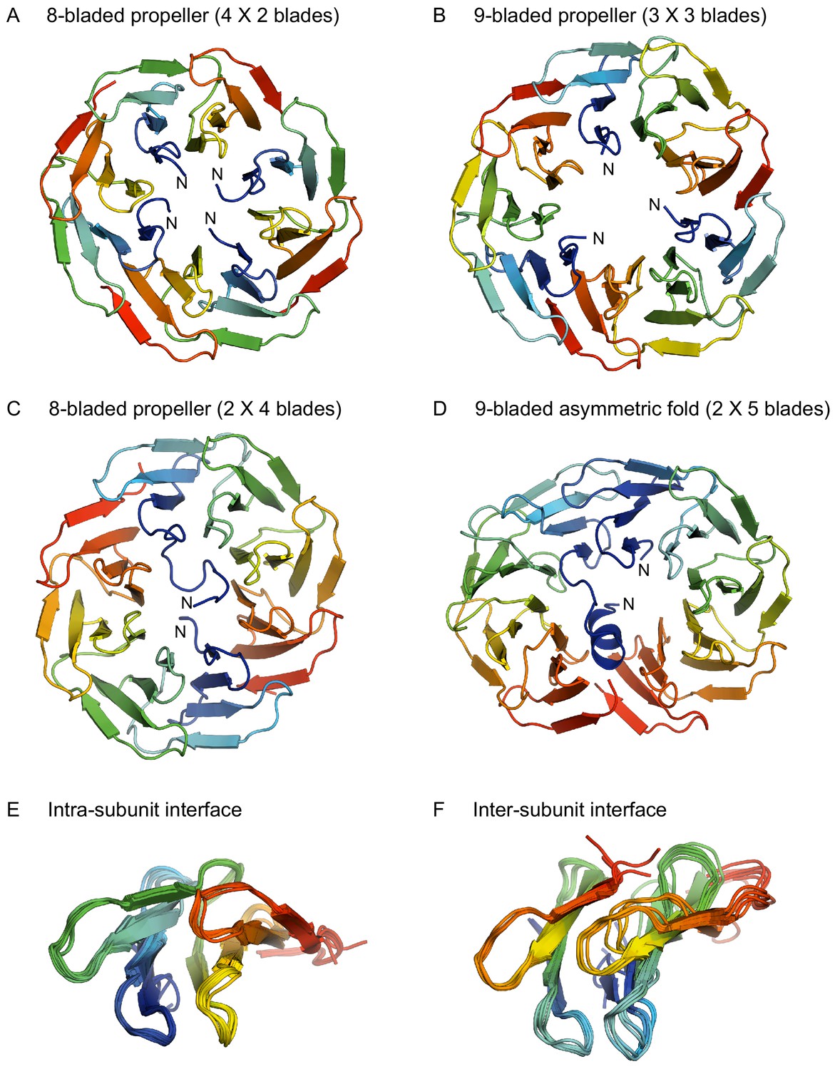 Structural Diversity Of Oligomeric β-propellers With Different Numbers ...