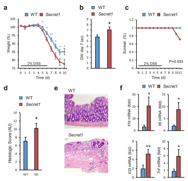 Figures And Data In Scgn Deficiency Results In Colitis Susceptibility 