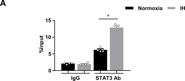 Figures And Data In Intermittent Hypoxia Mediated By TSP1 Dependent On ...