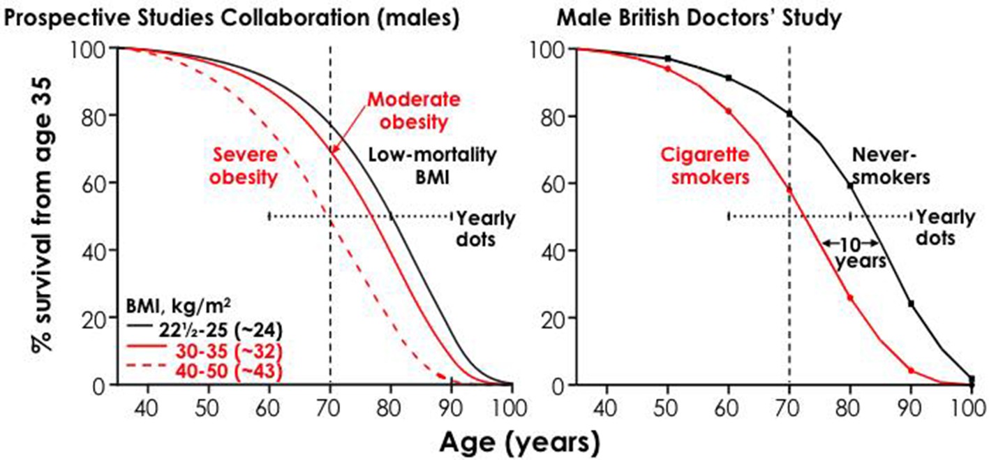 Bring Back Smoking to End Obesity – Grey Enlightenment