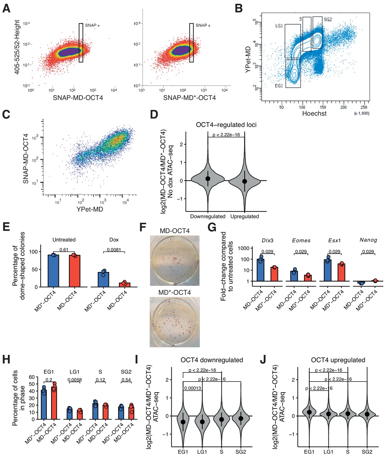 Figures And Data In Dynamic Regulation Of Chromatin Accessibility By 