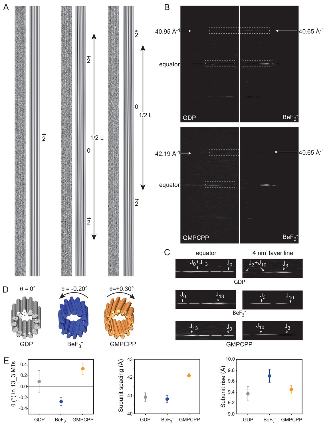 Structural Model For Differential Cap Maturation At Growing Microtubule Ends Elife