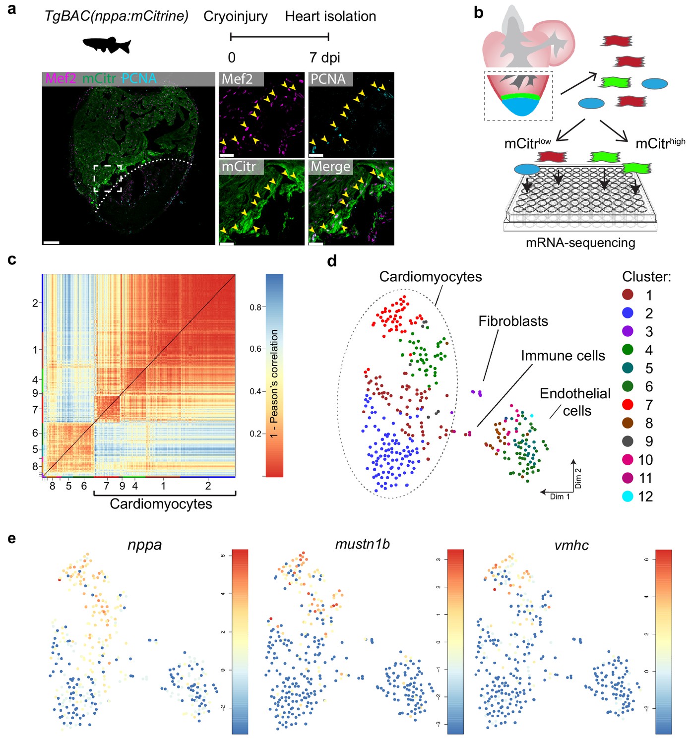 Figures And Data In Single-cell Analysis Uncovers That Metabolic ...