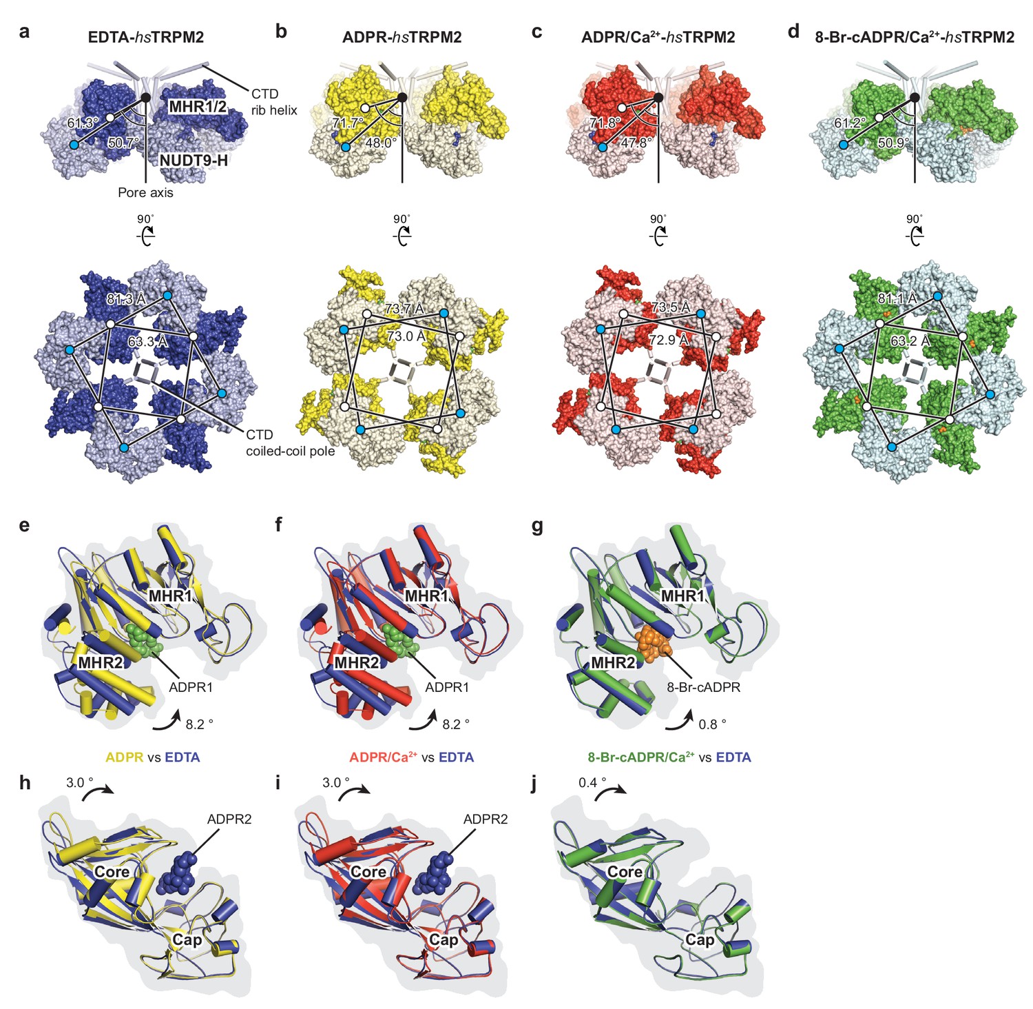 Figures And Data In Ligand Recognition And Gating Mechanism Through ...