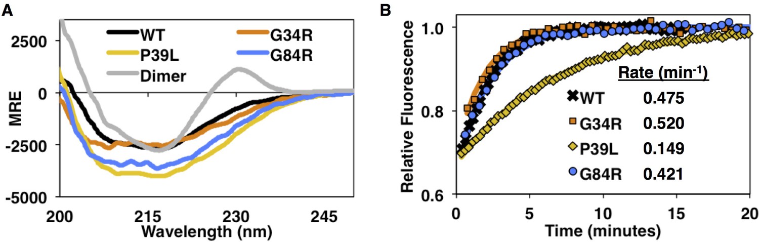 Figures And Data In Interplay Of Disordered And Ordered Regions Of A ...