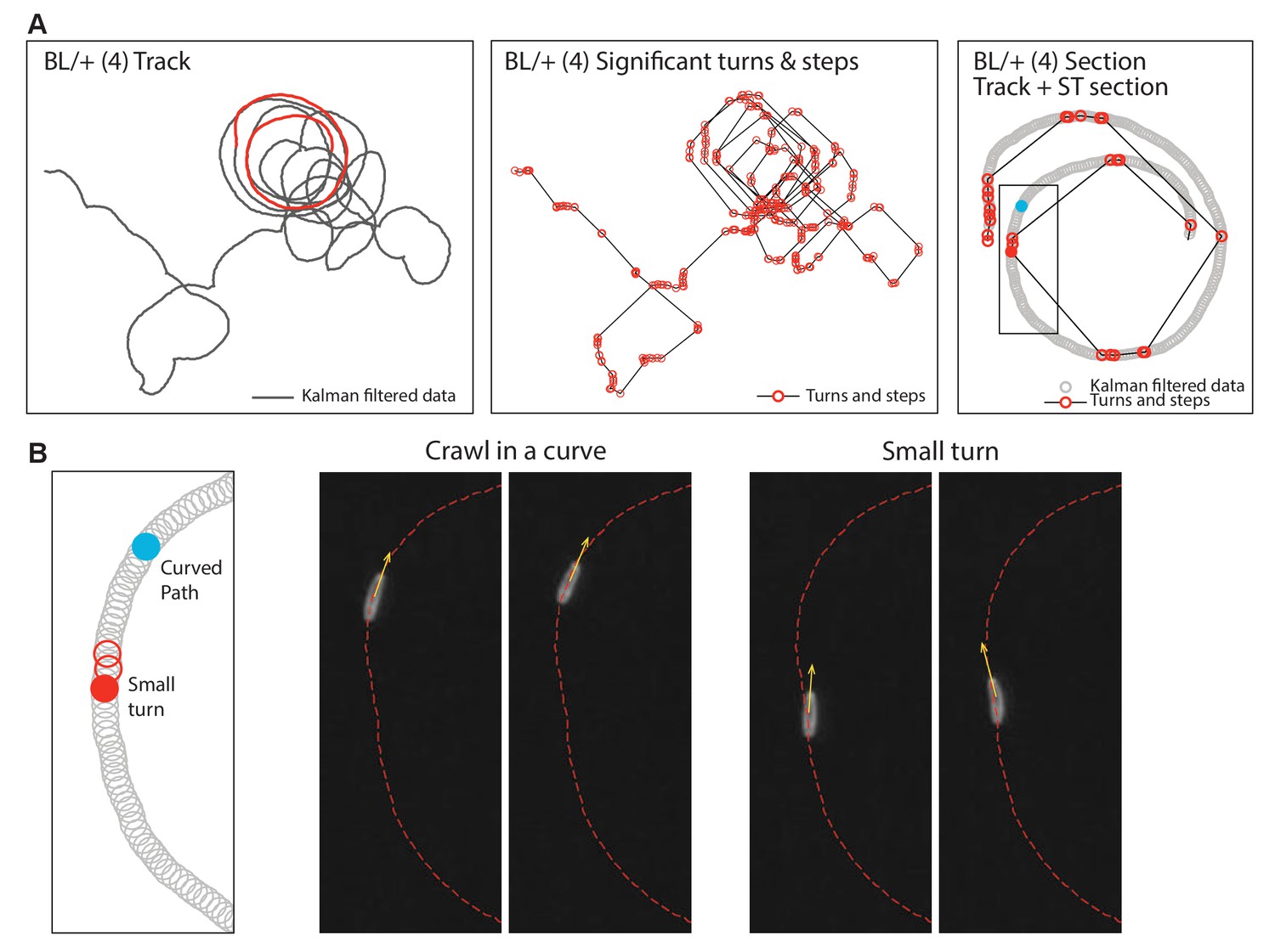 Figures And Data In Optimal Searching Behaviour Generated Intrinsically 