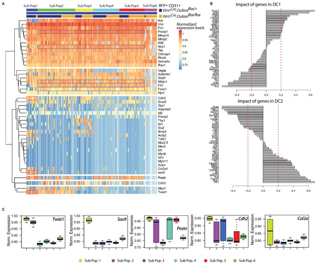 Figures and data in Dullard-mediated Smad1/5/8 inhibition controls ...