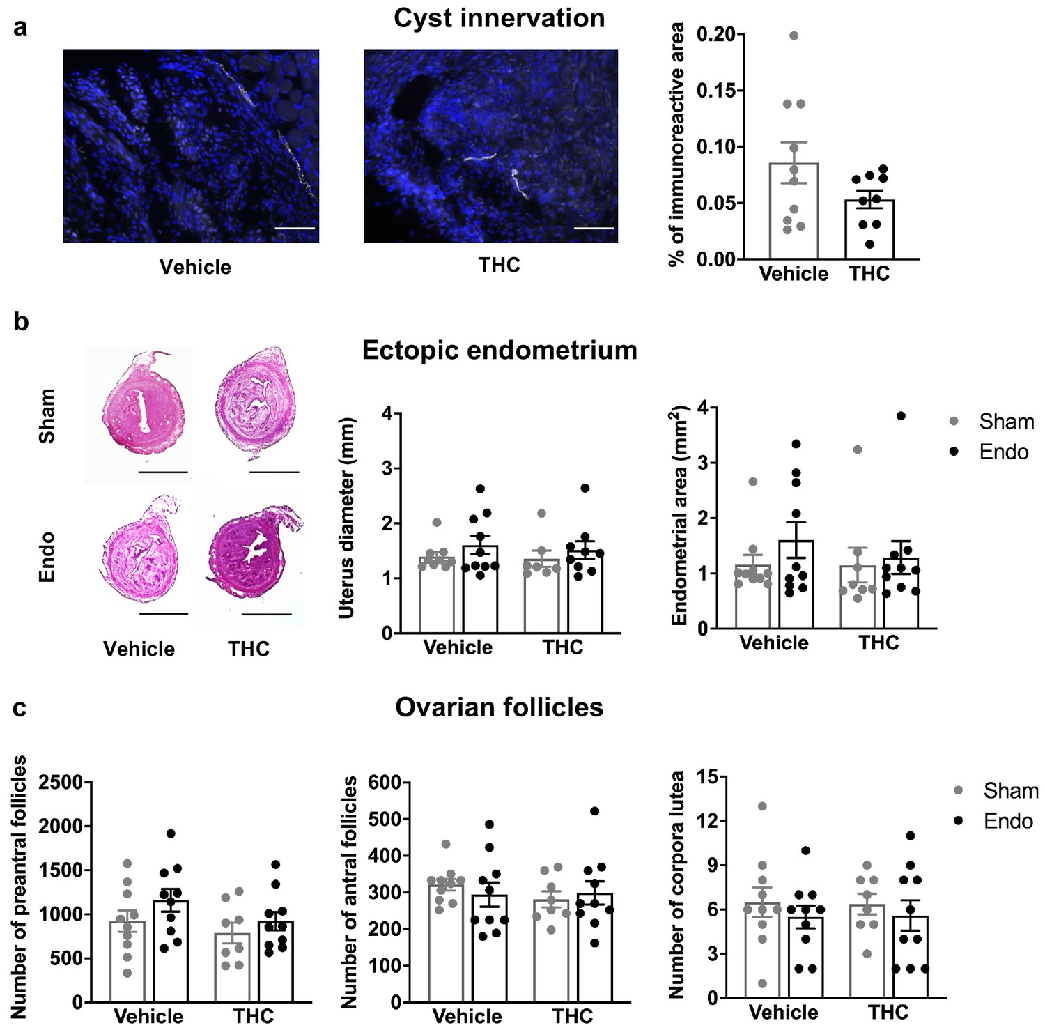 Figures And Data In Disease Modifying Effects Of Natural Δ9 Tetrahydrocannabinol In 0689