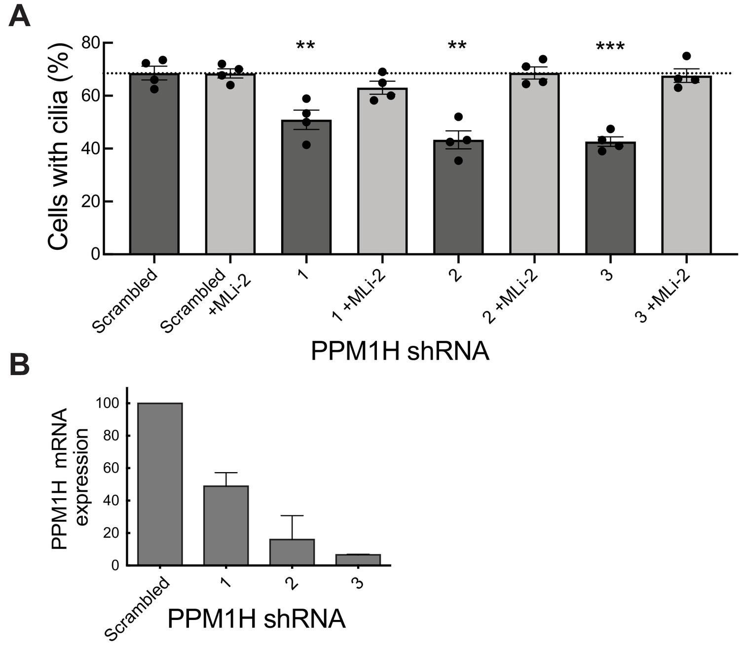 PPM1H phosphatase counteracts LRRK2 signaling by selectively