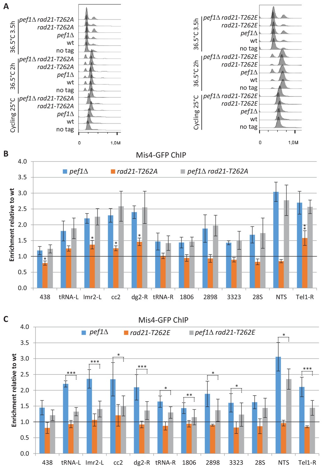 The CDK Pef1 and protein phosphatase 4 oppose each other for