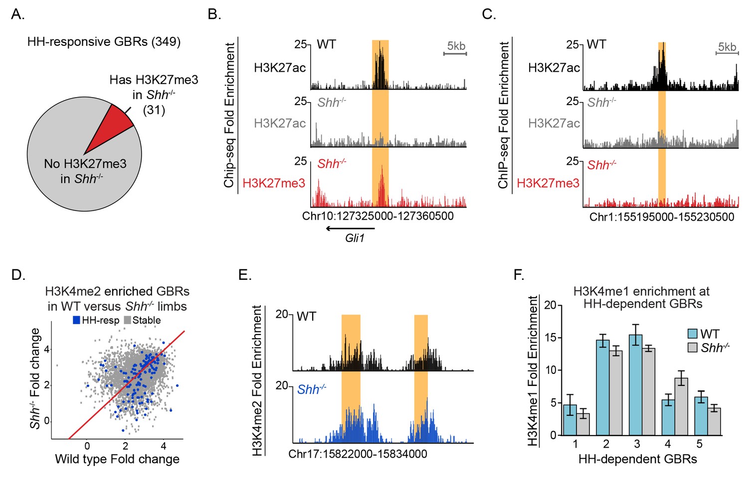 Gli Transcriptional Repression Regulates Tissue Specific Enhancer