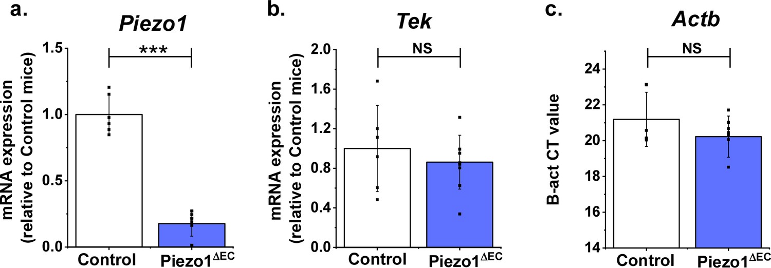 Figures And Data In Shear Stress Activates ADAM10 Sheddase To Regulate