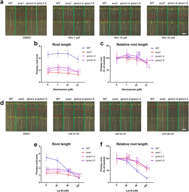 Figures And Data In Homeostasis Of Branched-chain Amino Acids Is ...