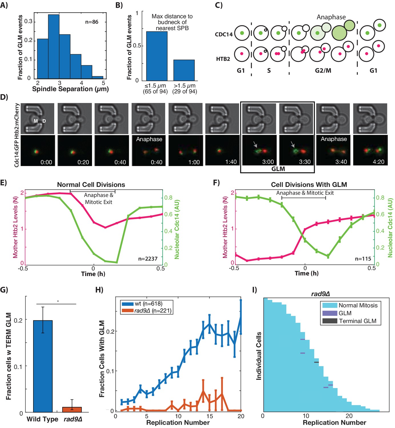 Figures and data in DNA damage checkpoint activation impairs chromatin Biology Diagrams