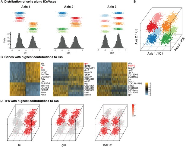 modular-transcriptional-programs-separately-define-axon-and-dendrite