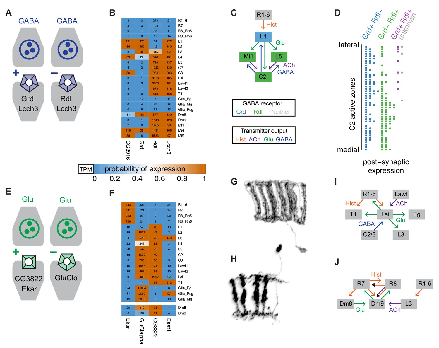 Figures And Data In A Genetic, Genomic, And Computational Resource For ...