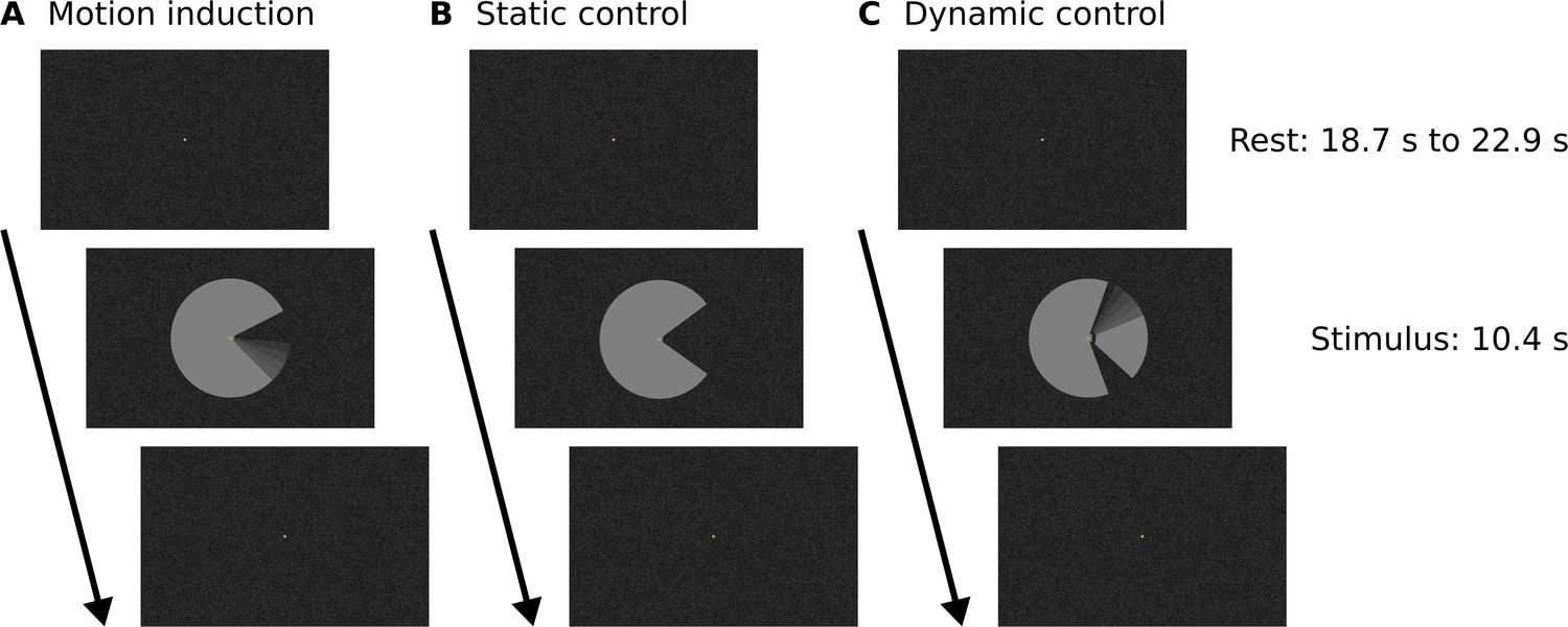 Figures and data in Feedback contribution to surface motion perception ...