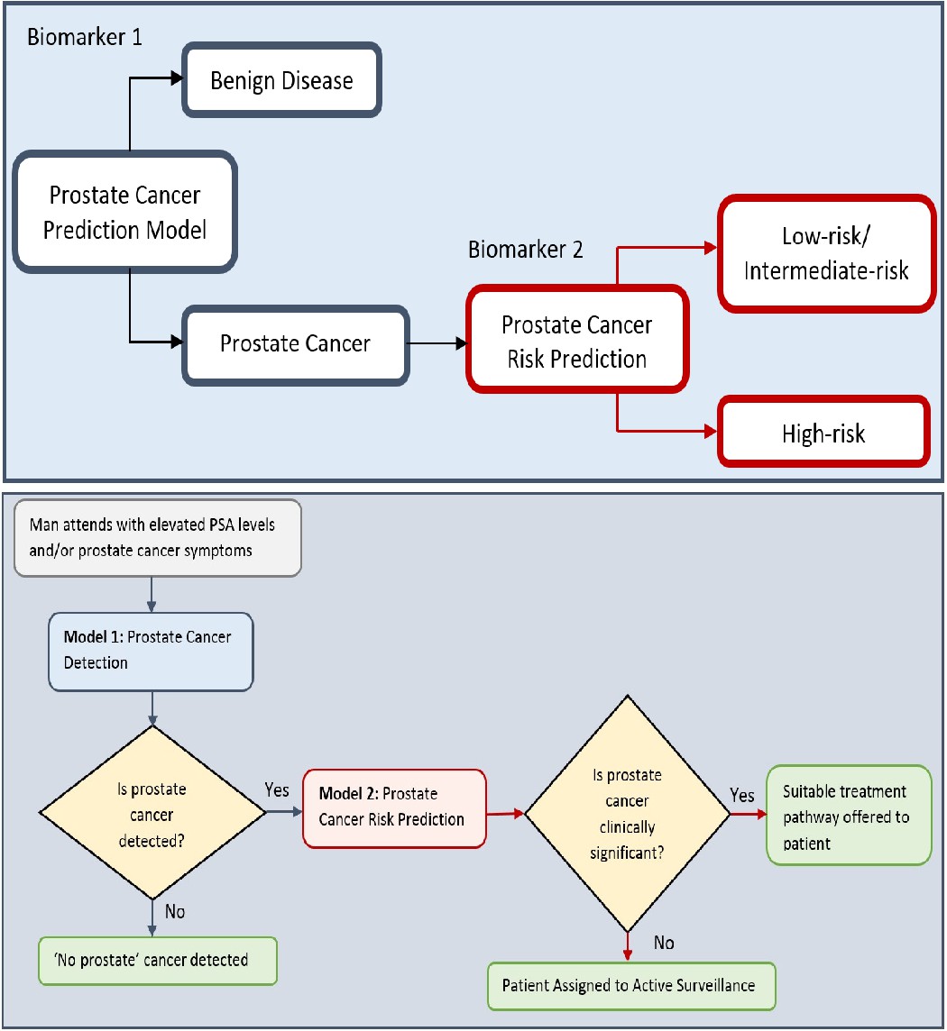 Identifying prostate cancer and its clinical risk in asymptomatic men ...