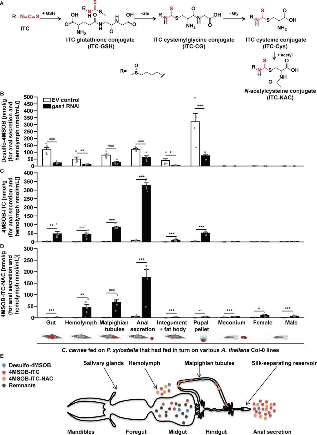 Tritrophic metabolism of plant chemical defenses and its effects on ...