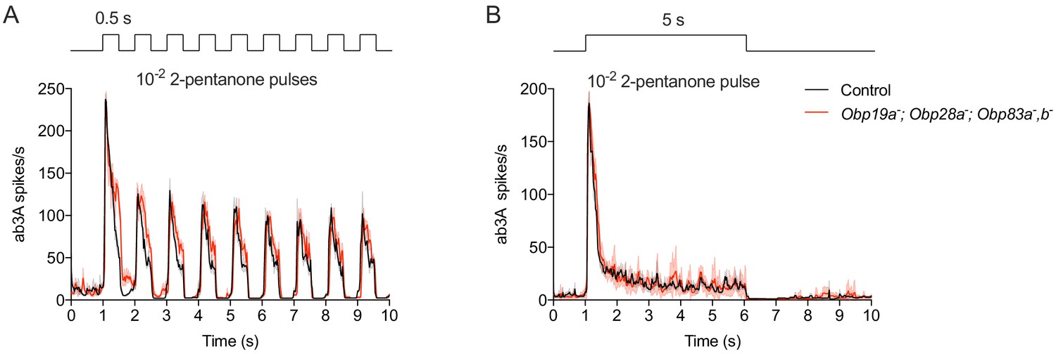 Robust olfactory responses in the absence of odorant binding