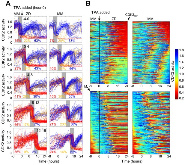 Single cell analysis reveals multiple requirements for zinc in the ...