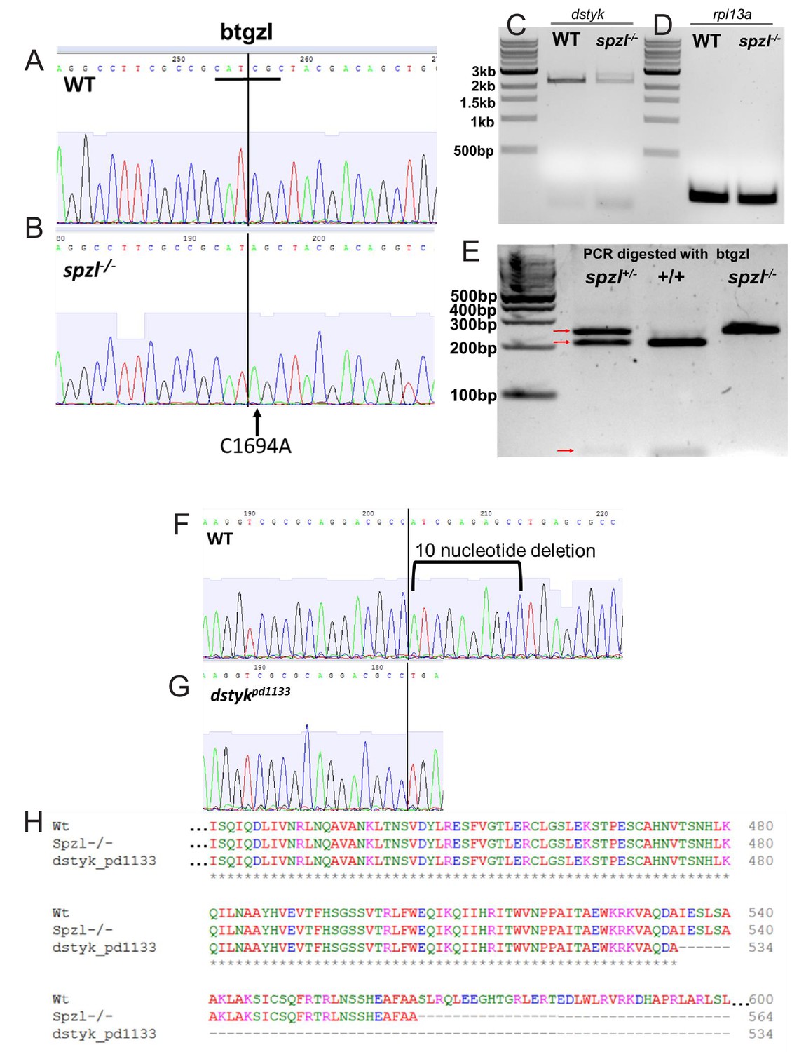 Figures and data in Notochord vacuoles absorb compressive bone growth ...