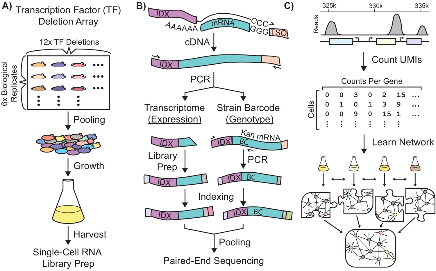 Gene Regulatory Network Reconstruction Using Single Cell Rna Sequencing Of Barcoded Genotypes In Diverse Environments Elife