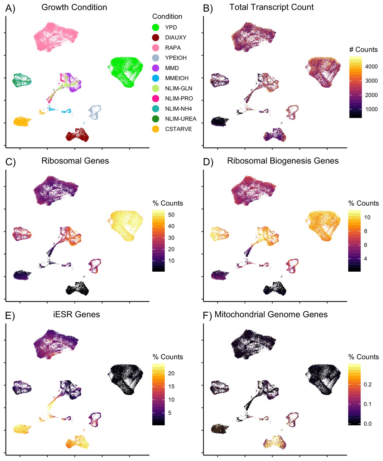 Gene Regulatory Network Reconstruction Using Single Cell Rna Sequencing Of Barcoded Genotypes In Diverse Environments Elife