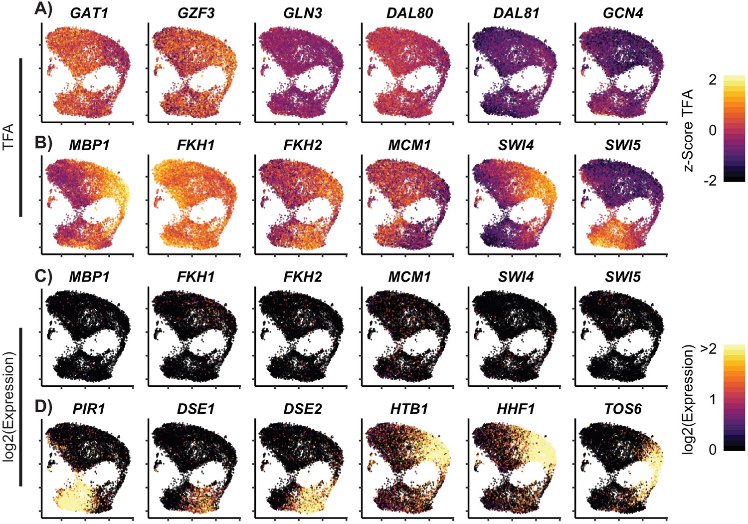 Gene Regulatory Network Reconstruction Using Single Cell Rna Sequencing Of Barcoded Genotypes In Diverse Environments Elife