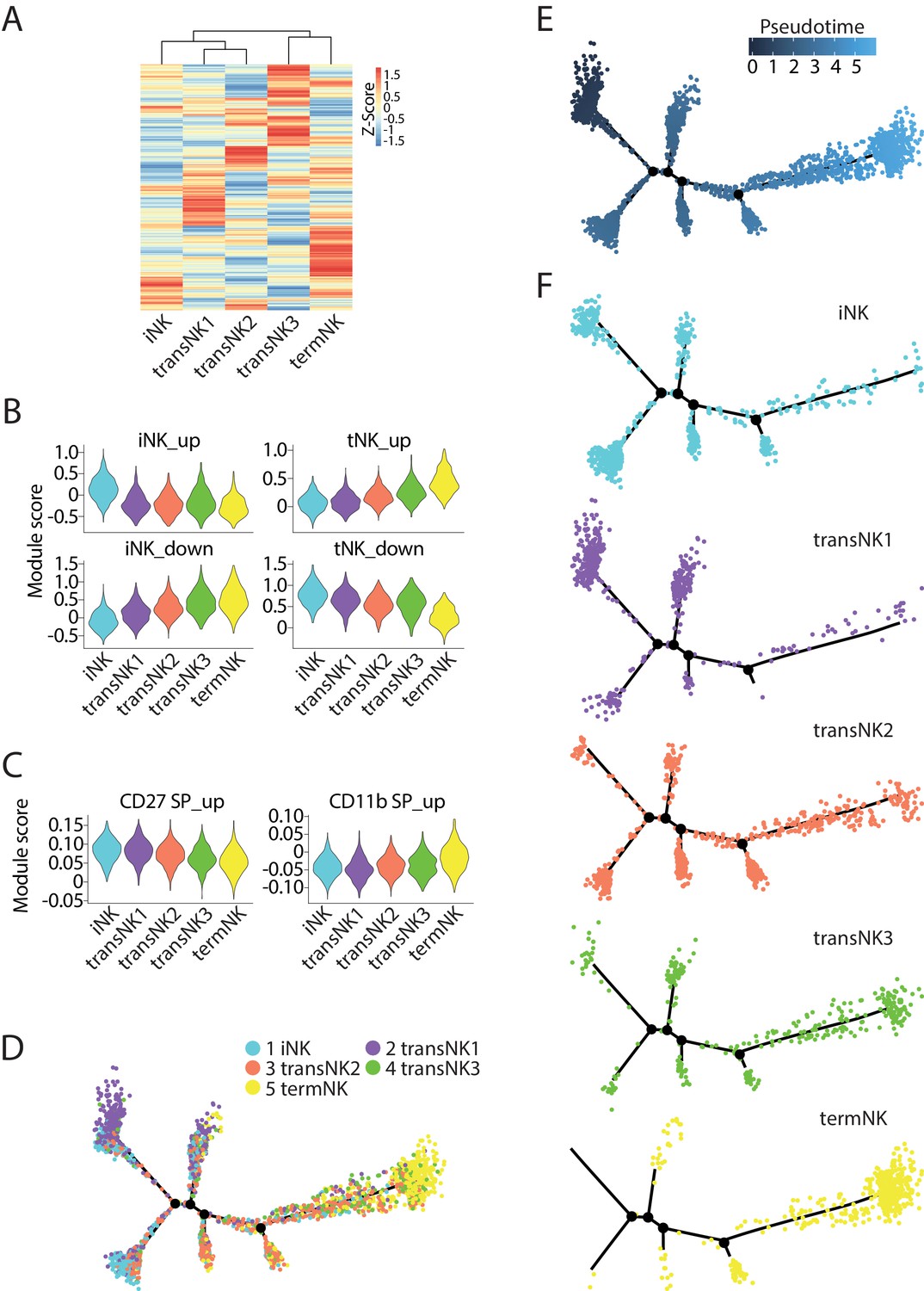 Single-cell Transcriptome Reveals The Novel Role Of T-bet In ...