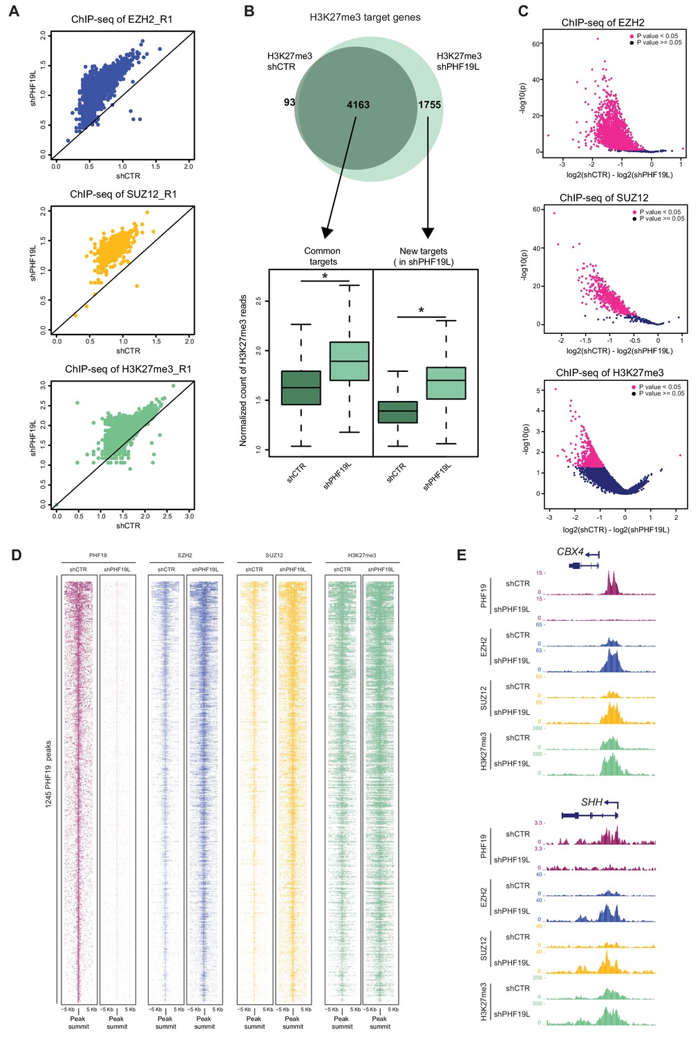 Phf19 Mediated Regulation Of Proliferation And Invasiveness In Prostate 