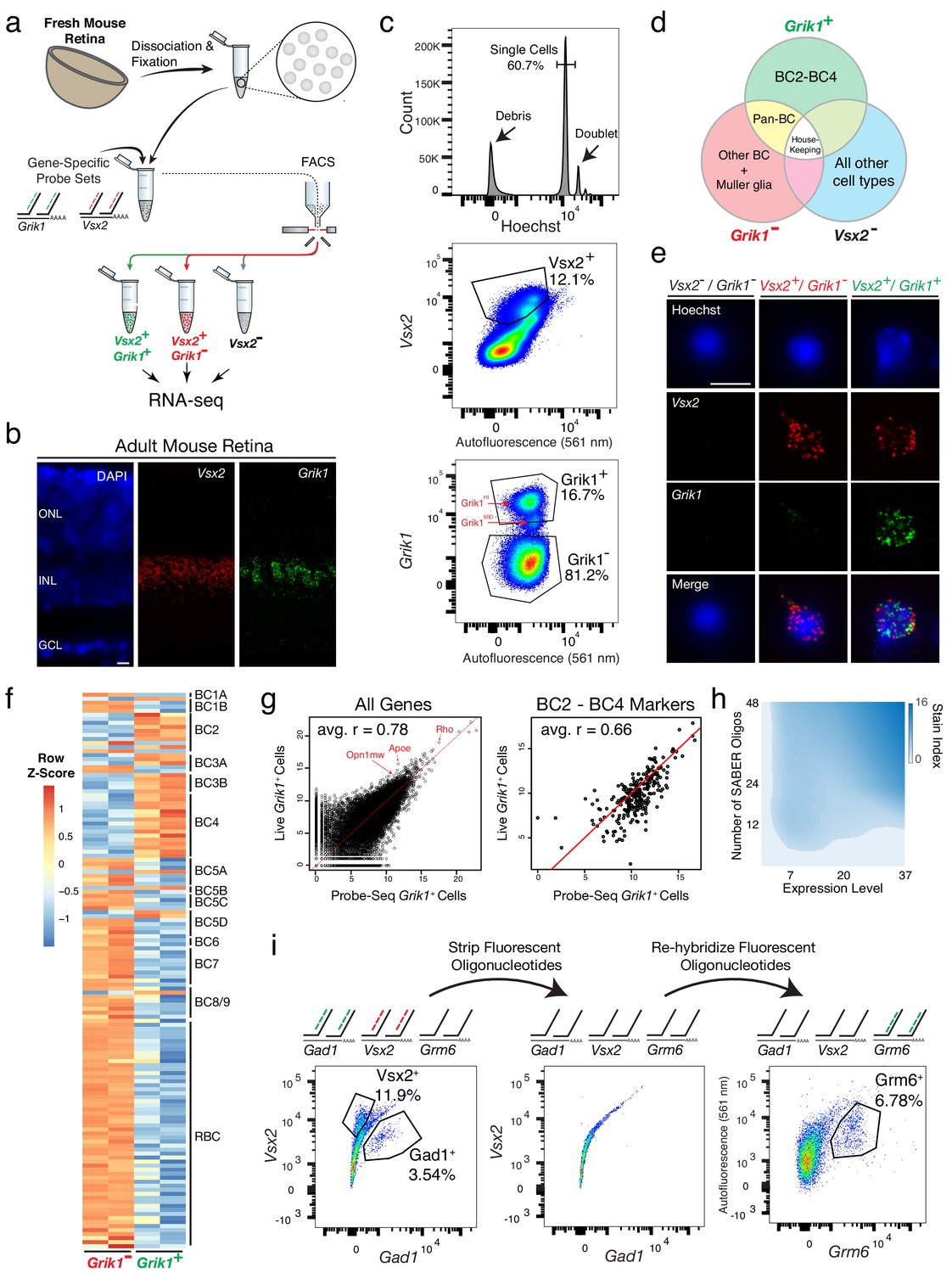 an experiment is designed to determine specific cell types