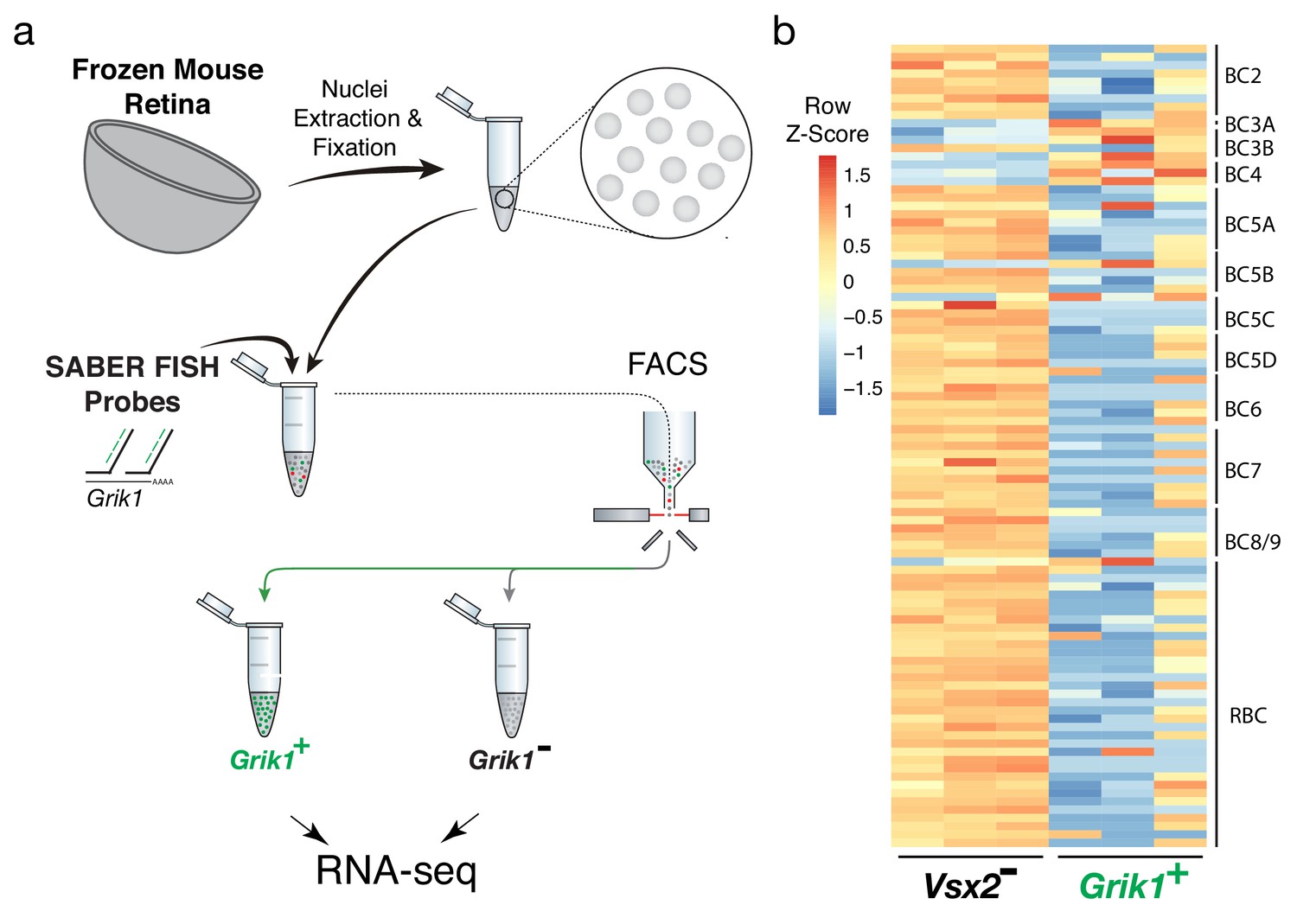 Figures And Data In Probe-Seq Enables Transcriptional Profiling Of ...